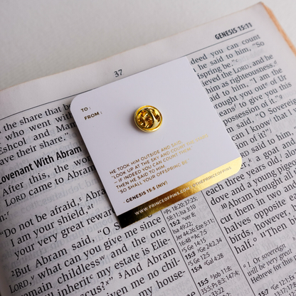 Genesis 15:5 (Count the Stars) Enamel Pin